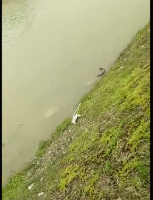 客車(chē)自動(dòng)破窗裝置,遙控自動(dòng)破玻器,破窗器,南冠破玻器